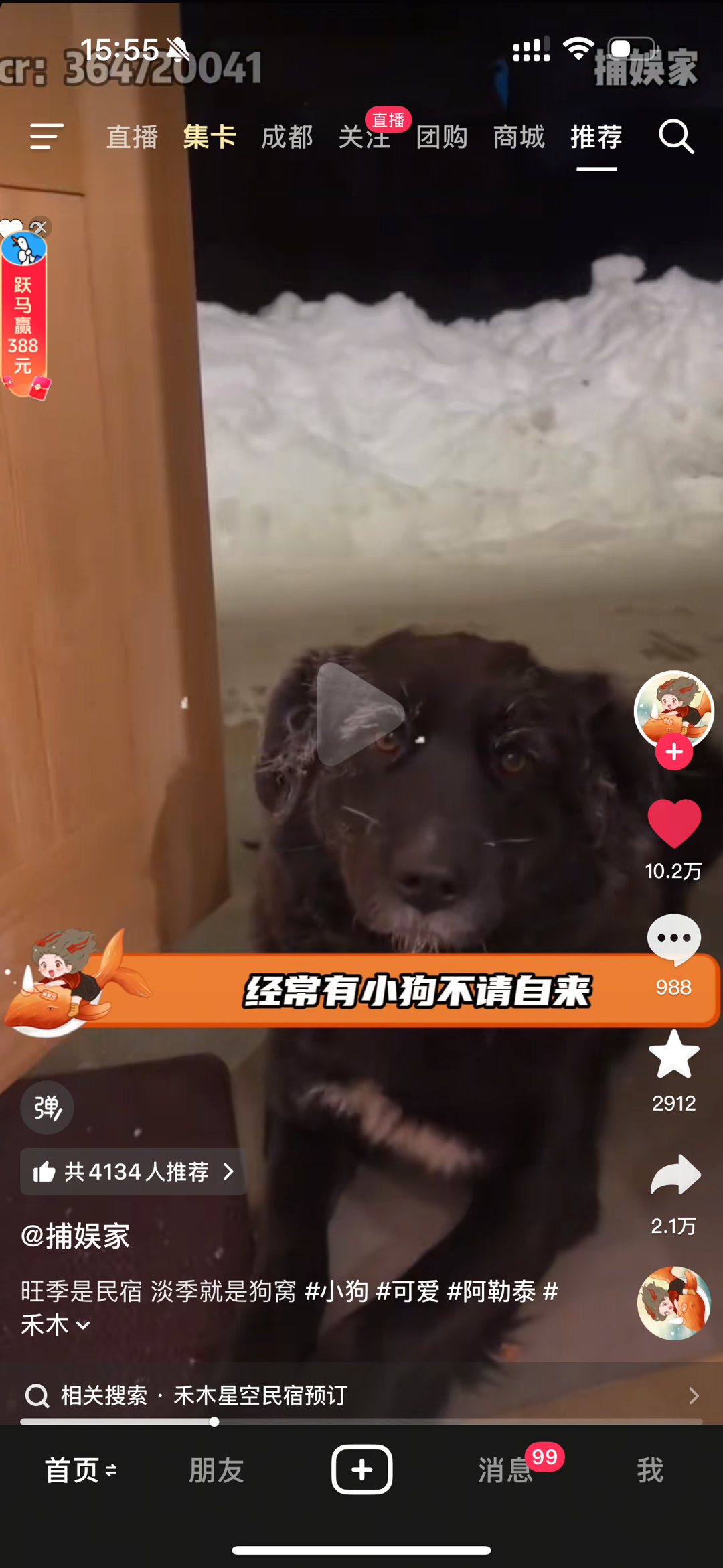 我也是在名宿碰到了这样的狗狗！！真的好乖还带我们去吃饭的地方！我们拍照它就一直等