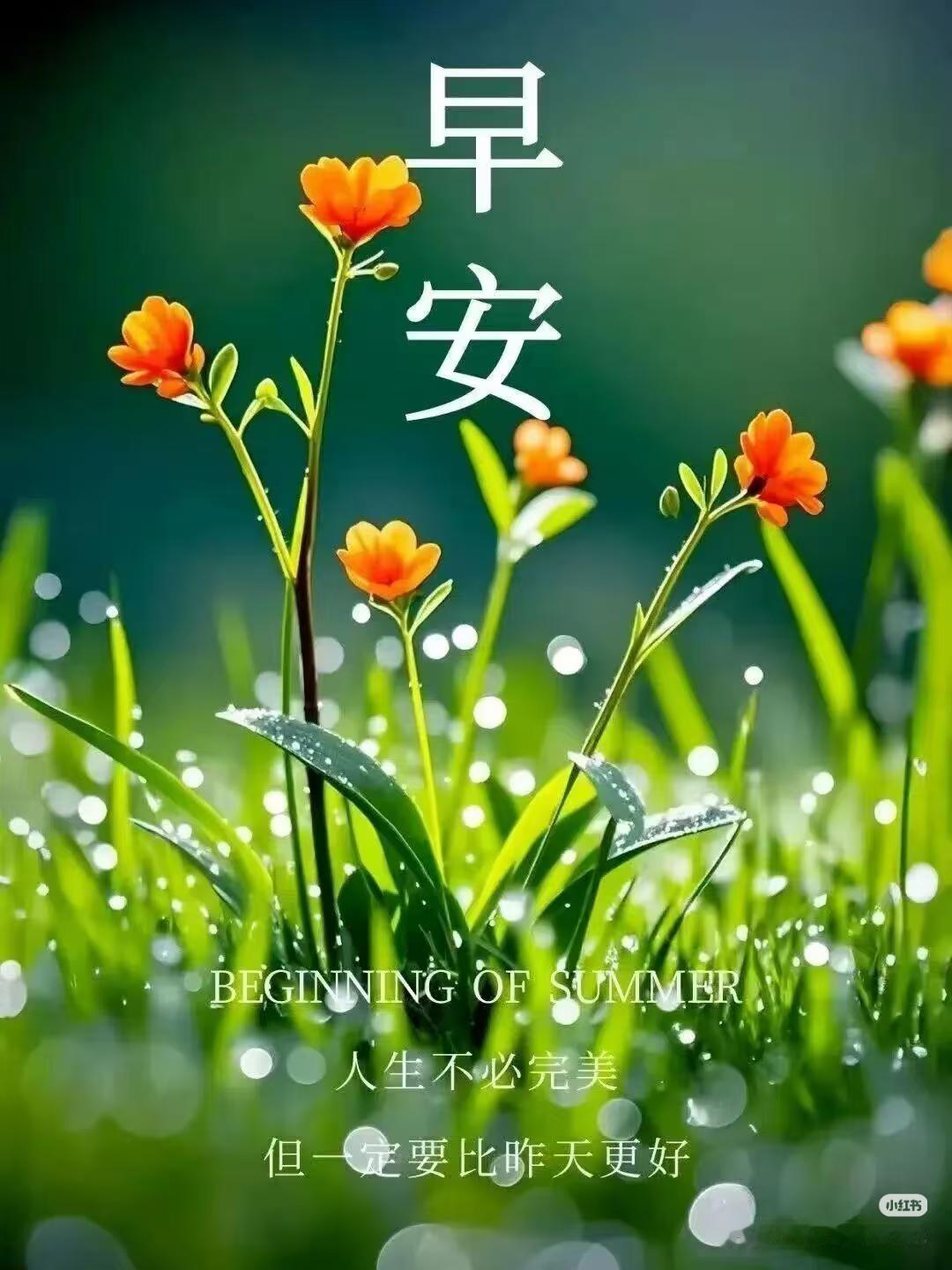 早上好，今天是9月9日星期三。
看到一段王云蕗接受采访的视频，应该是最近才录的。