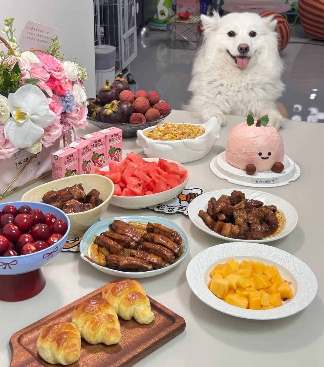 小狗不能上桌🤨