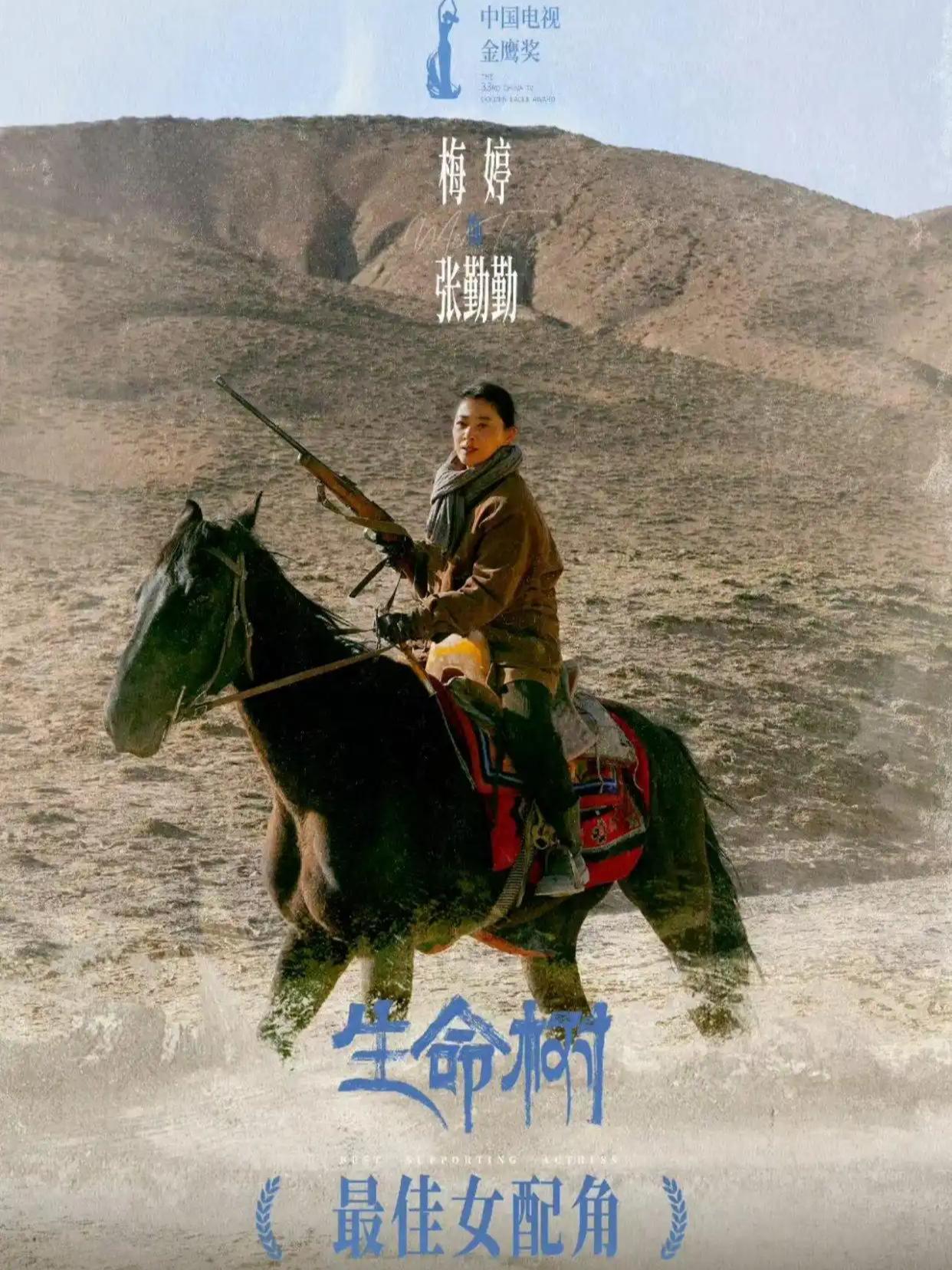 梅婷，喜获第33届金鹰奖最佳女配角奖，她还获得了哪些电视剧（金鹰、飞天、玉兰）三