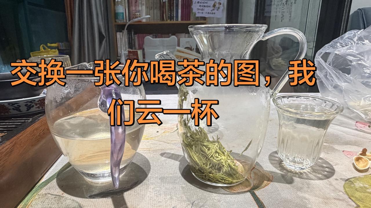 今天你喝茶了吗 明前茶 每日一茶 洞庭山碧螺春 抖音美食创作人