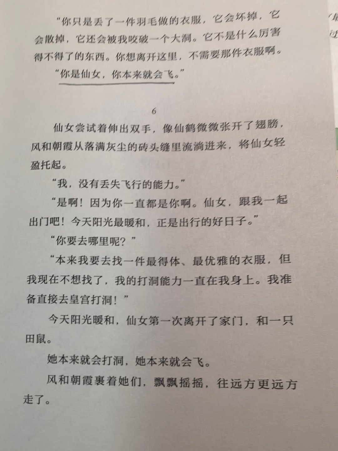 第42本：《她来劈开这山》这是一本写给女性的童话故事（也可以算是寓言），尺度掌握