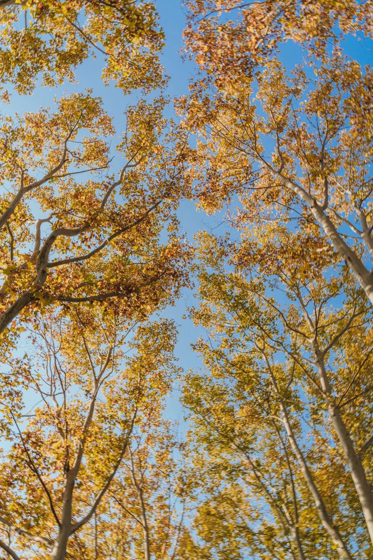按下快门那一刻，试试旋转一下相机