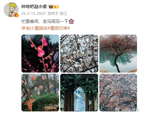 赵小童忙里偷闲走马观花  赵小童摄影师上线，忙里偷闲走马观花让我们云赏花啦！是春