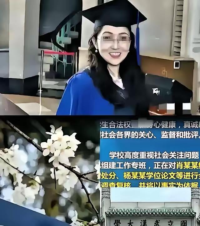 9月，一条消息在中国社交网络上炸了。
有网友在西班牙马德里卡洛斯三世大学2026