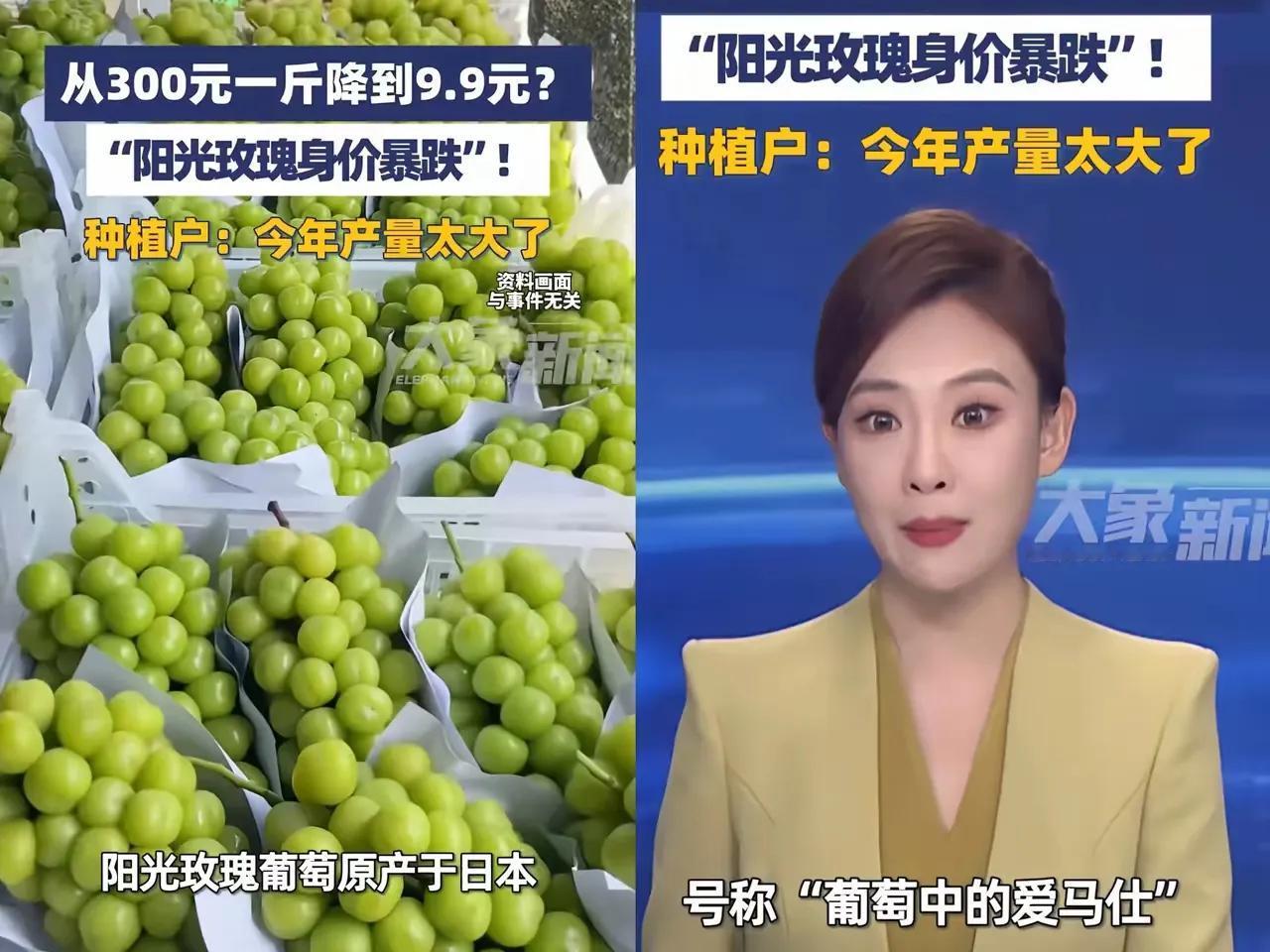 阳光玫瑰跌下神坛
今天去水果店
看到阳光玫瑰才2元一斤
真是惊呆了
在我印象中这