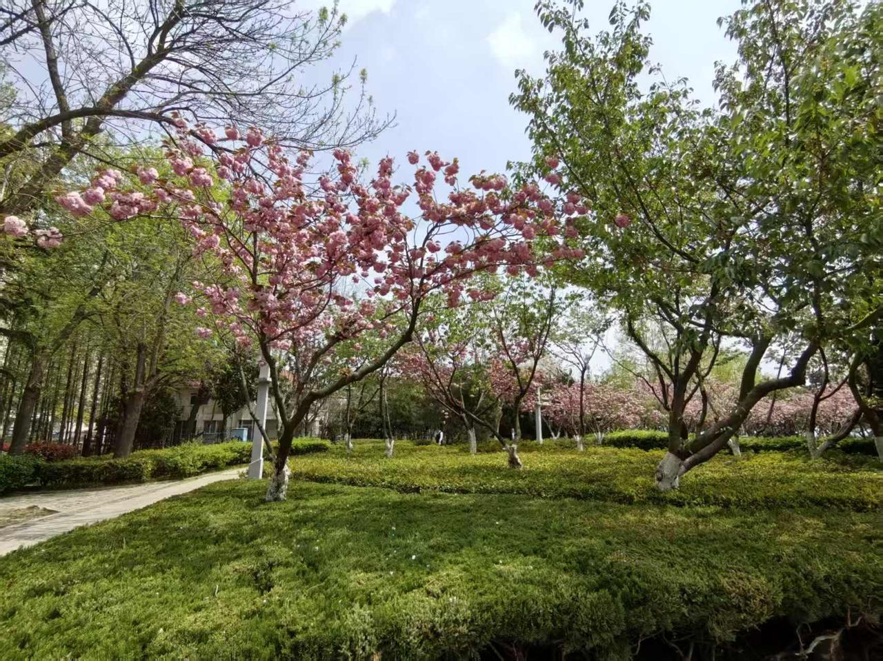 53岁的我，被新华网这句话破防了：

“一定要多拍照，多发朋友圈”，朋友圈真正的