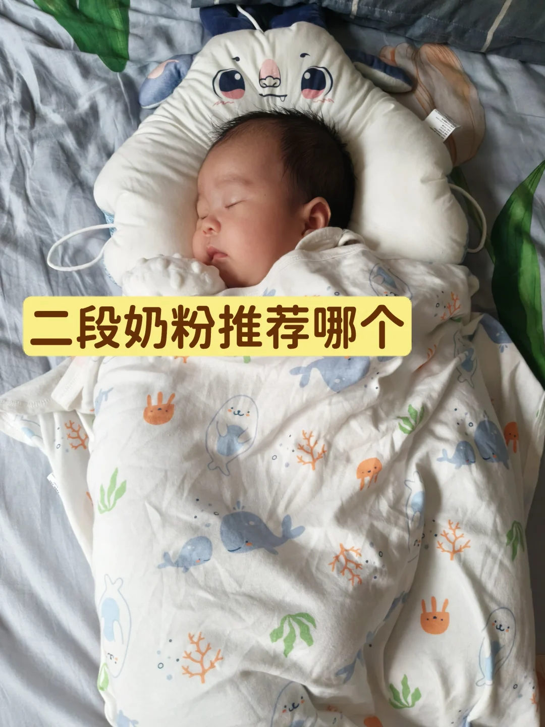 聊聊二段选奶那些事