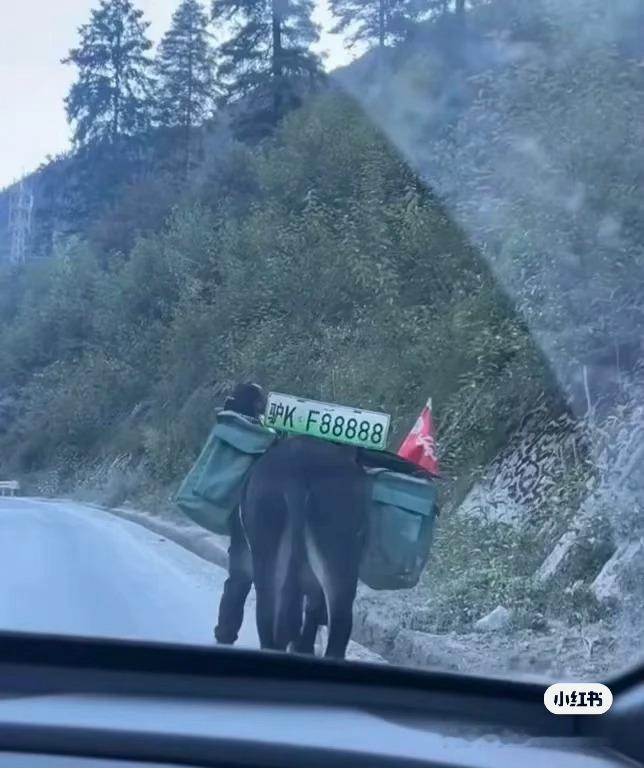 想了想，确实得挂绿牌 ​​​