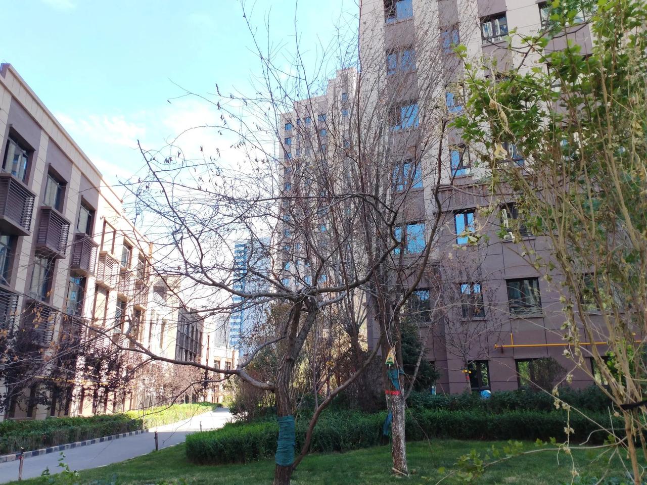 水墨河畔富力城小区居民留言，小区物业服务太差，舍不得浇水，导致大量树木死亡，还有