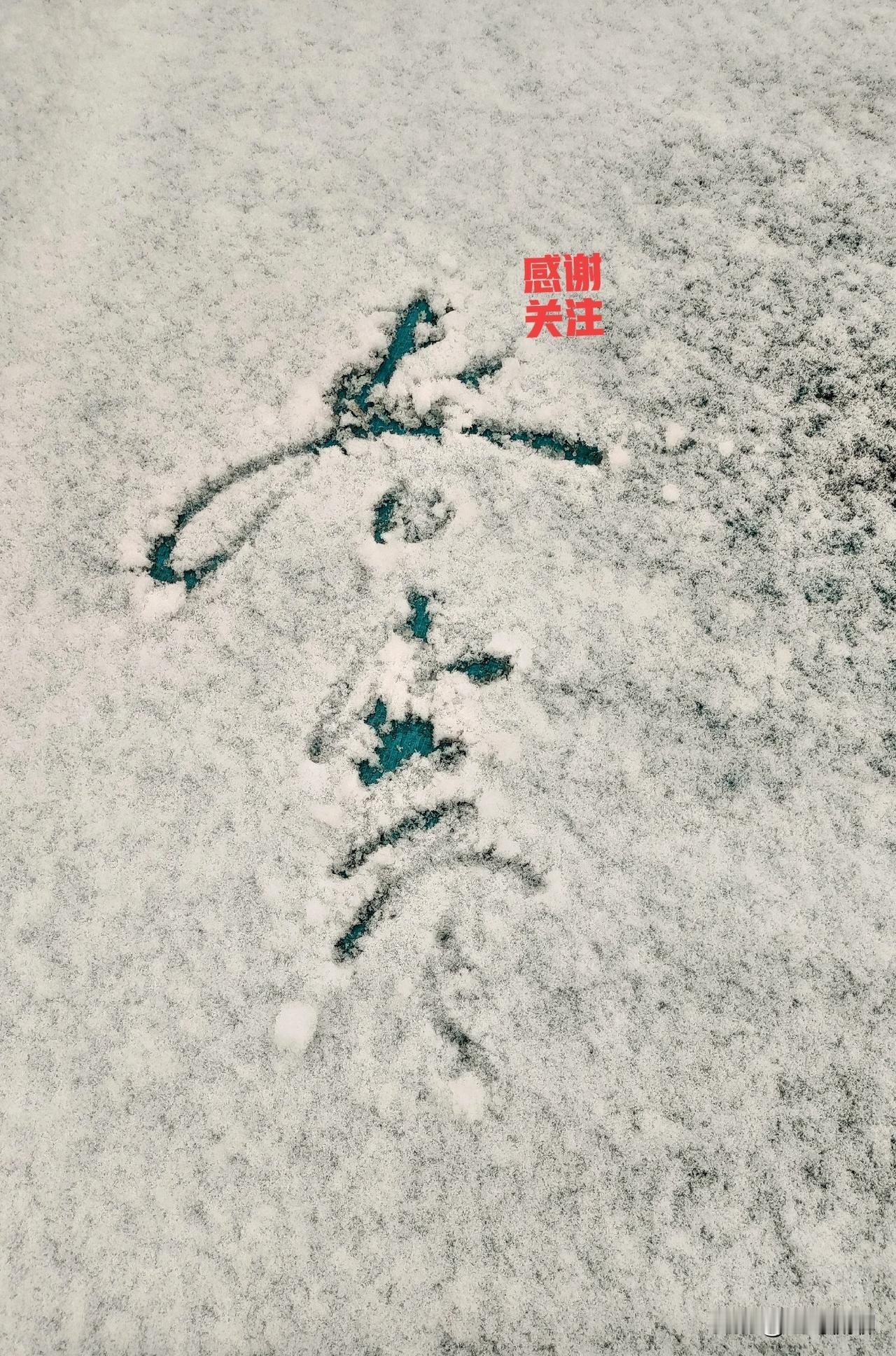 🍫 巧克力核心营养（每100g，以黑巧为主）
 
- 热量：约500–550千