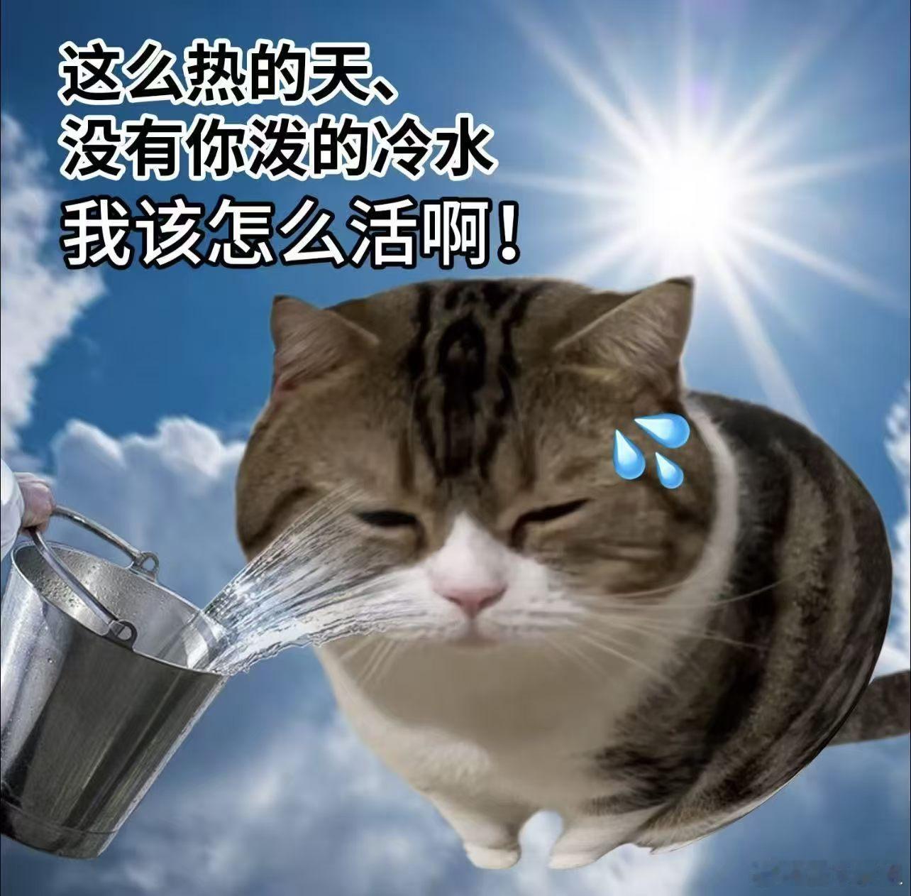 十二星座 过来找我看合盘的60%都会出现土水硬相位，因为感情特别美好的话，通常不