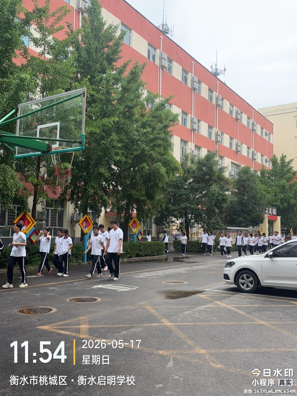 曝李嘉凯聊天记录暖阳遍洒校园大地清风绕着楼宇轻轻穿行葱郁草木舒展身姿繁花缀满庭前