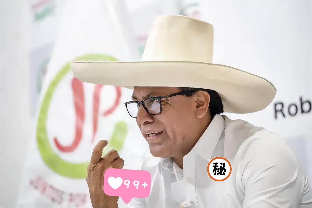 据秘鲁方面12日消息，该国检察机关指控总统候选人罗伯托·桑切斯涉嫌财务犯罪。就在