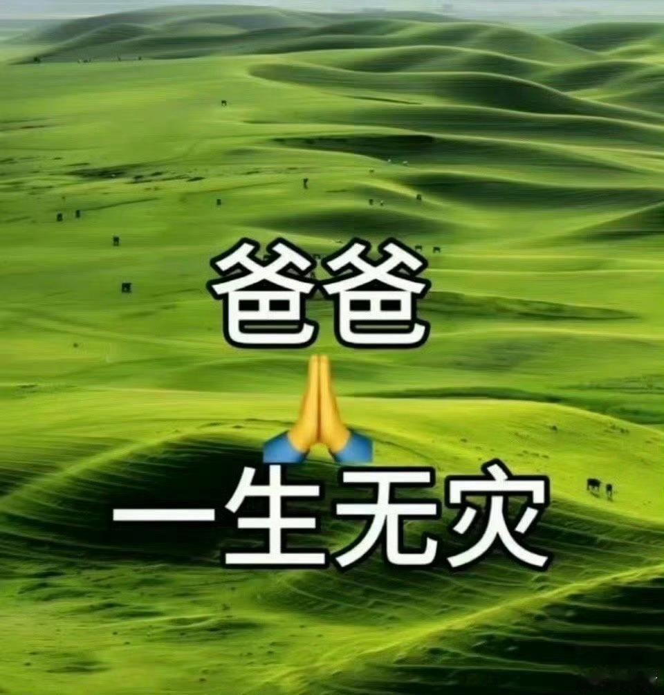 爸爸一生无灾，接住了。 