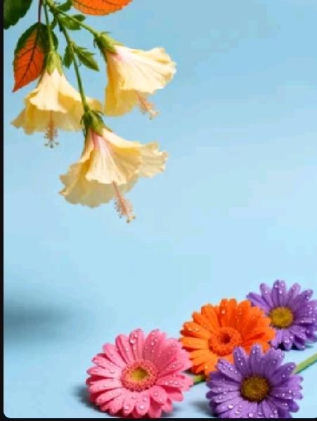 大姨妈来了能不能喝茶，得分情况看。像红茶，它性温，有一定暖宫作用，适量喝能缓解经