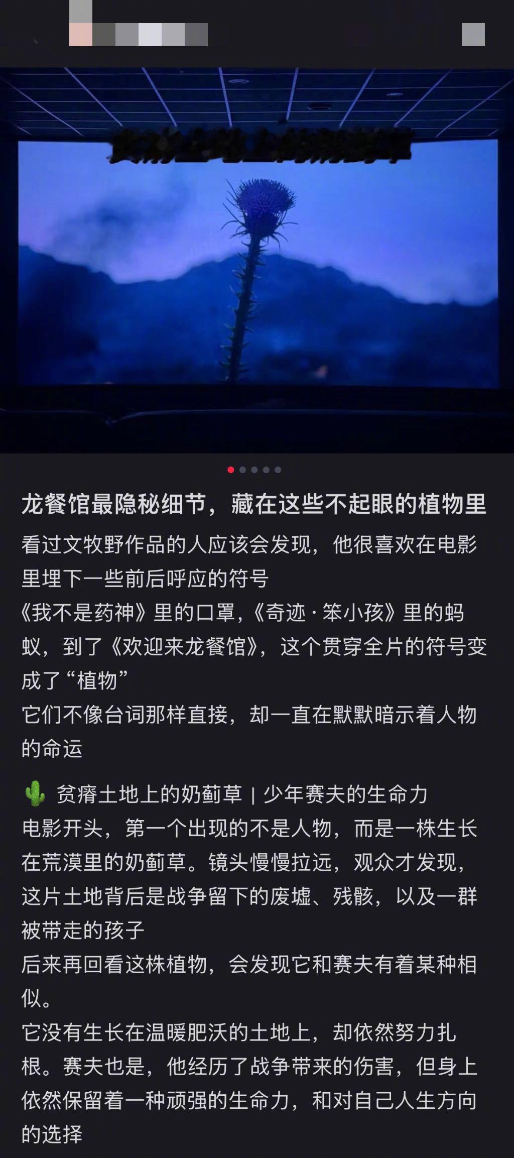 文牧野细节狂魔 赛夫，Safe，安全。一个在战火中长大的孩子，名字里却写着“安全