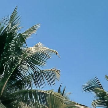 真诚待人，即使秋叶飘落、鲜花凋零，也不会感到孤独；真诚待人，就算岁月流逝，物是人