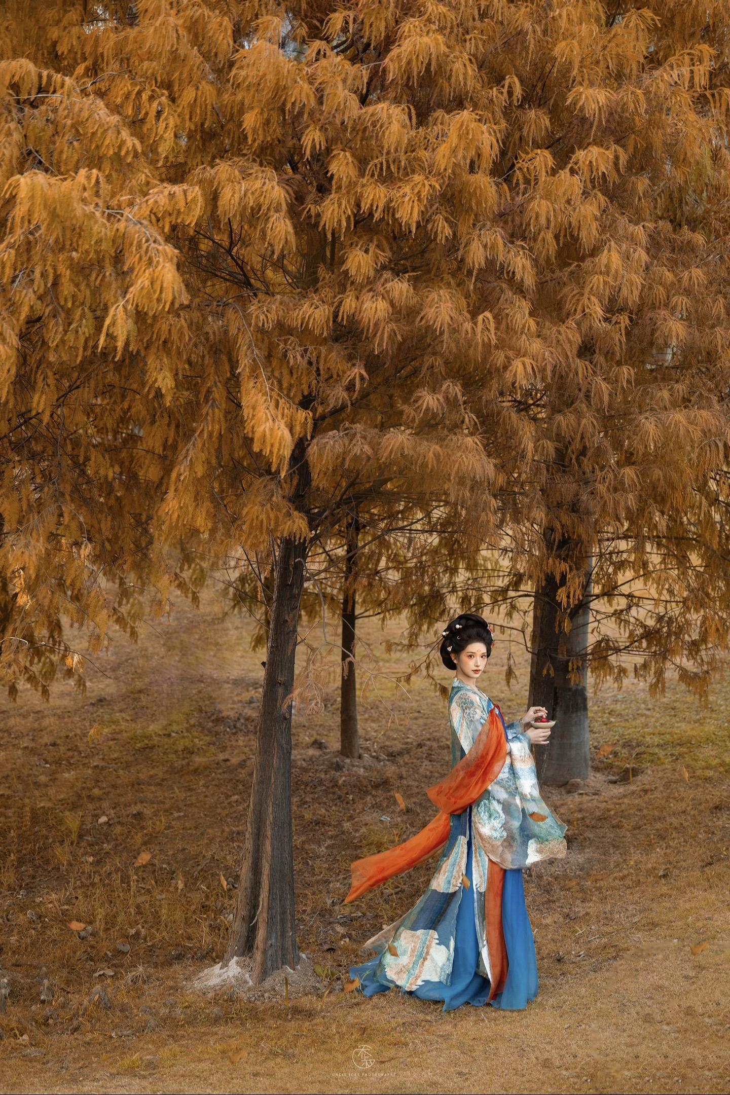 水杉是金陵画里的秋冬🍂。