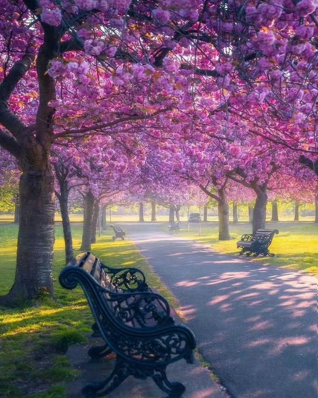 一个人做生活的演员、观众、导演总是轮回着做的，没有一种角色可以挣脱或是拒绝，年轻