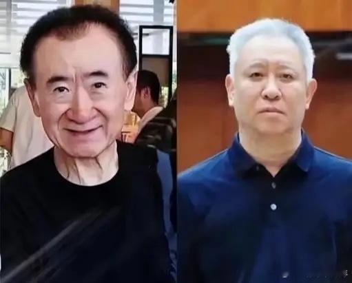 看到这张合成照片，与痛恨许家印相比，我更心疼王健林。我想不通，为什么一个砸锅卖铁