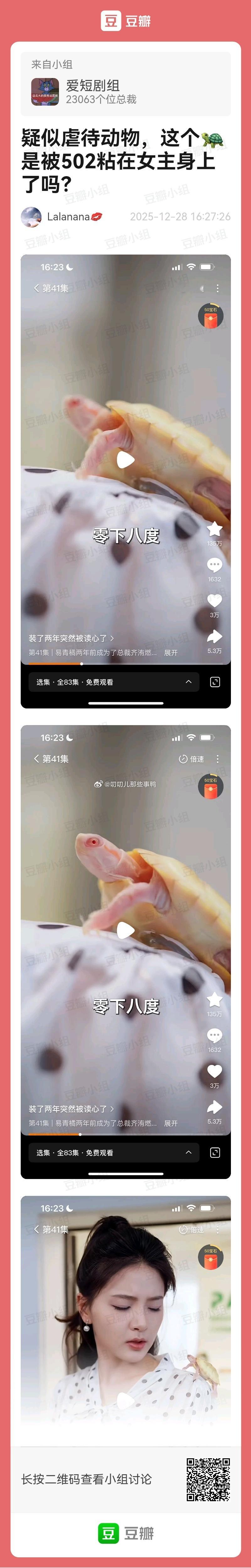 这个乌龟🐢是怎么固定的？