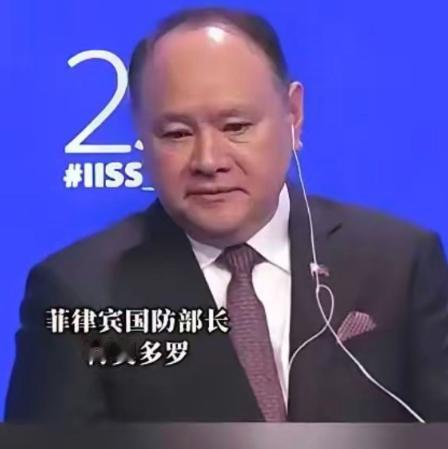 菲国防部长：后续不会再保持克制！
7月24日，菲律宾国防部长特奥多罗接受媒体采访