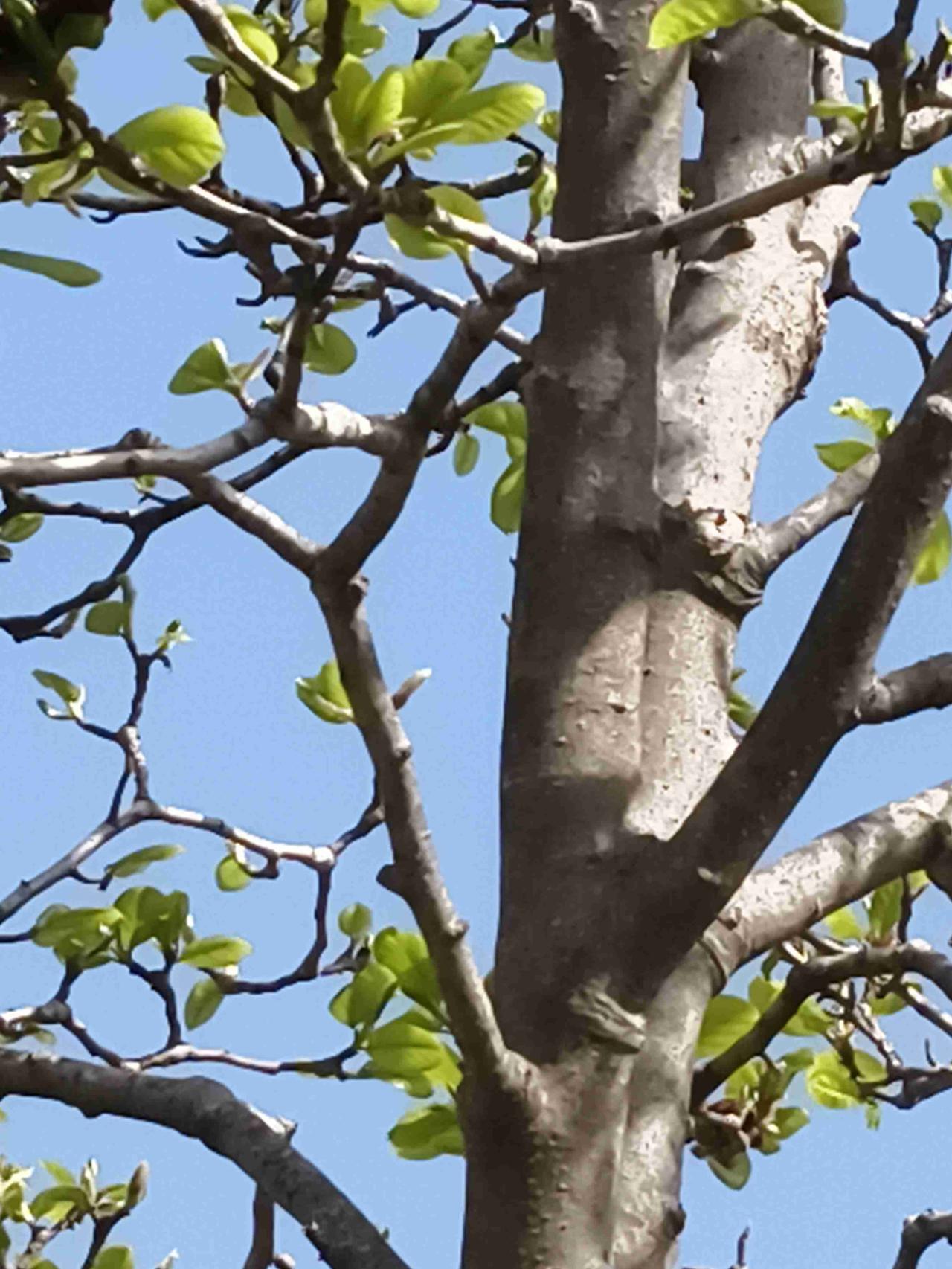 我的今日状态：😁轻松愉快
我这里的天气：☀️晴天