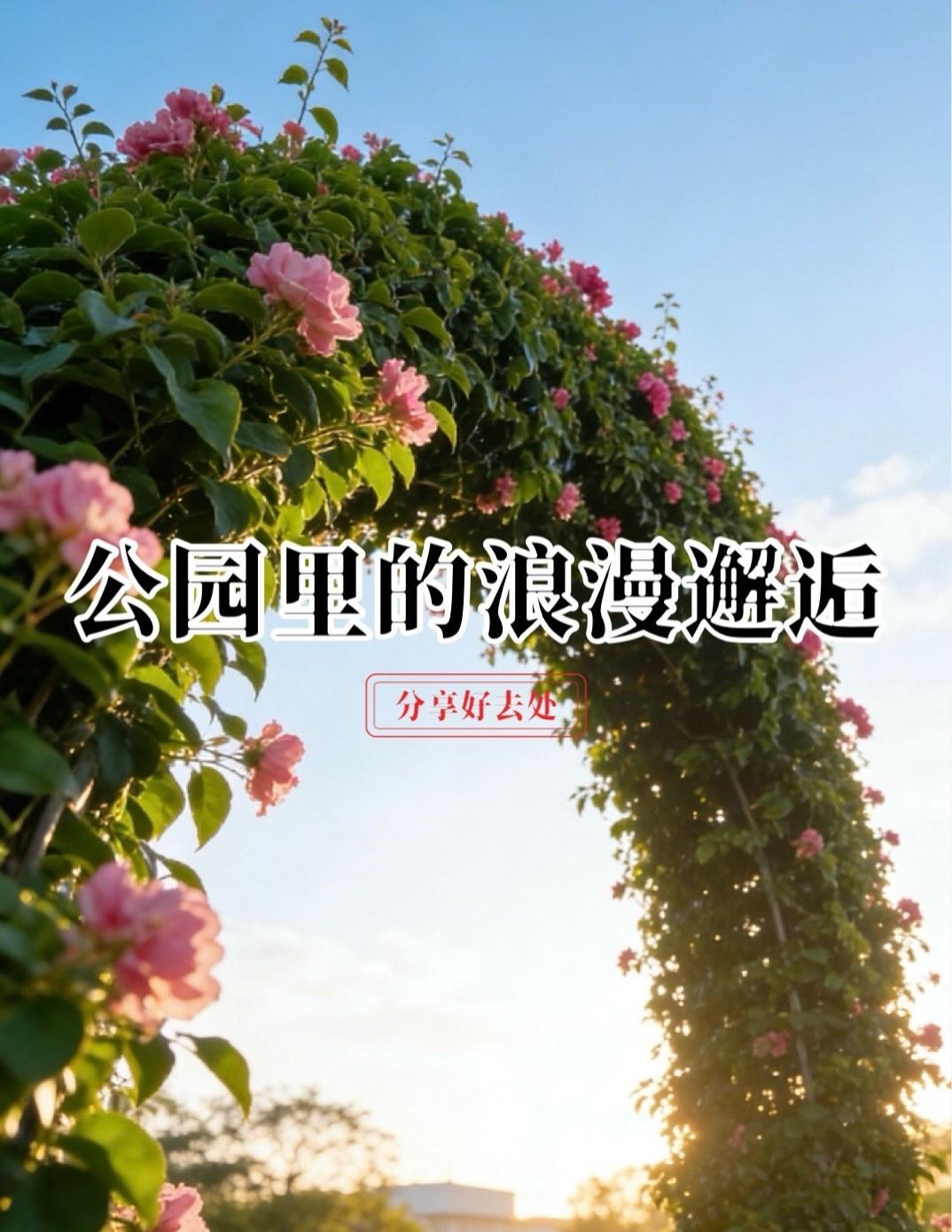 宏城公园绝美圆拱花廊｜随手拍都是治愈大片
📍广州 宏城公园-拱圆花廊
📍【出