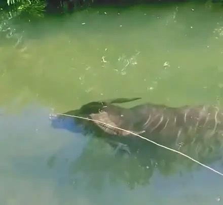 上午10:48的时候，半导体以为首的科技板块回暖，创业板翻红，接下来怎么看？半导