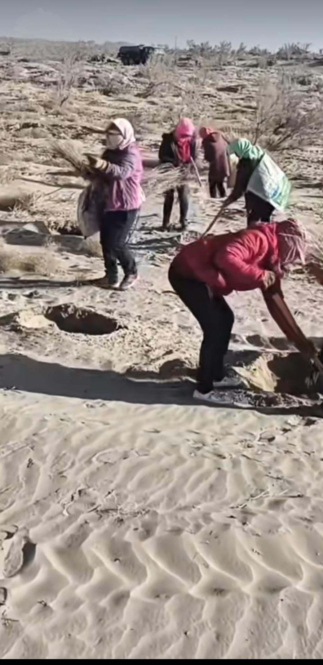 沙荒,沙漠的沙为什么不能用?沙漠的沙子不能直接用于建筑、种植等场景，核心原因在于