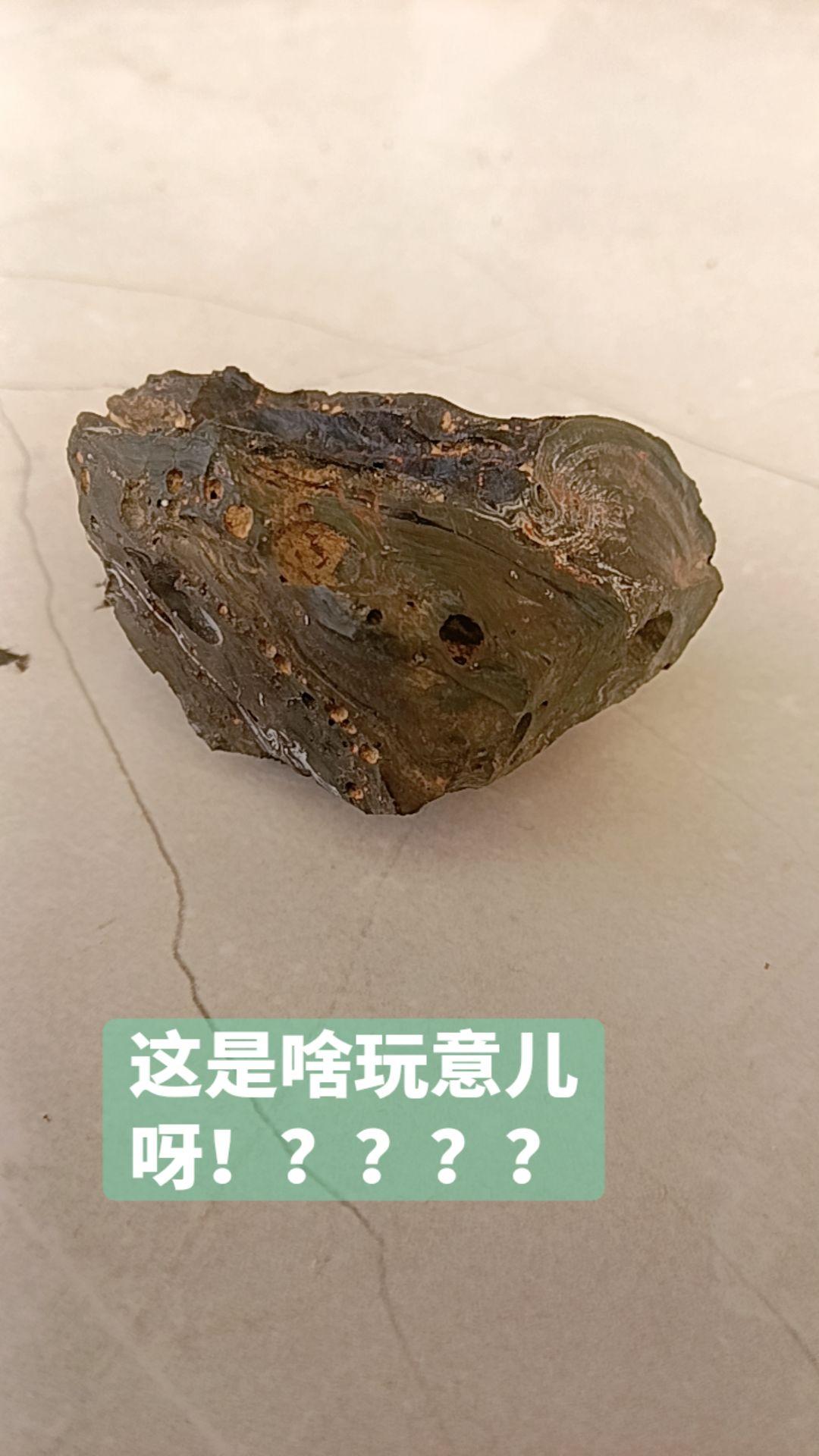 这是啥玩意儿呀！？