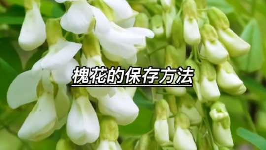 又是一年槐花香，槐花这样保存，可以吃到来年春天