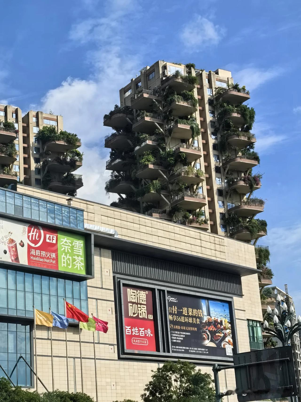 这楼房里住的都是爱绿色之人？