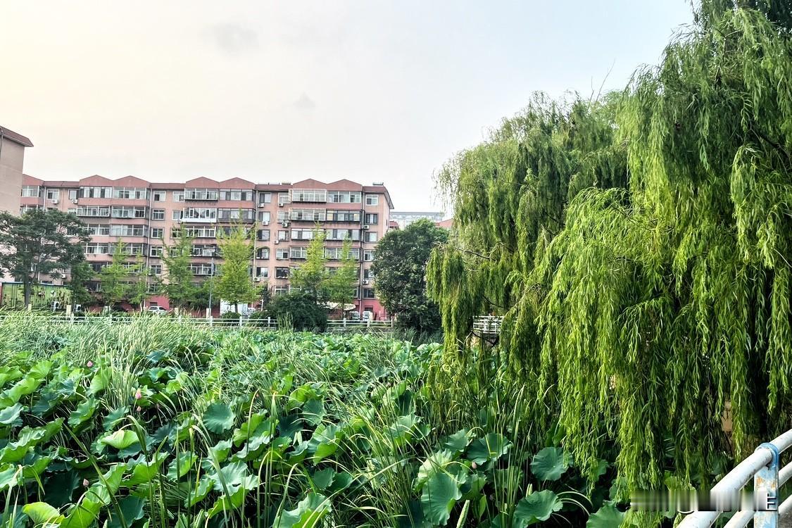 恒大的思考一：
恒大如何从小房企成长为万亿地产巨头？时代红利之外，还有哪些扩张手