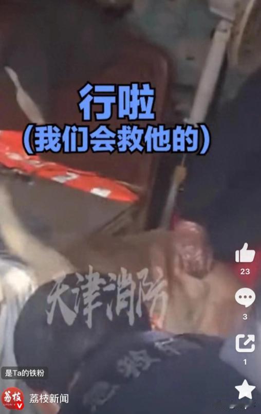 “真是好人有好报”！天津，一男子平时就爱收留流浪猫狗，家里大大小小养了140只，