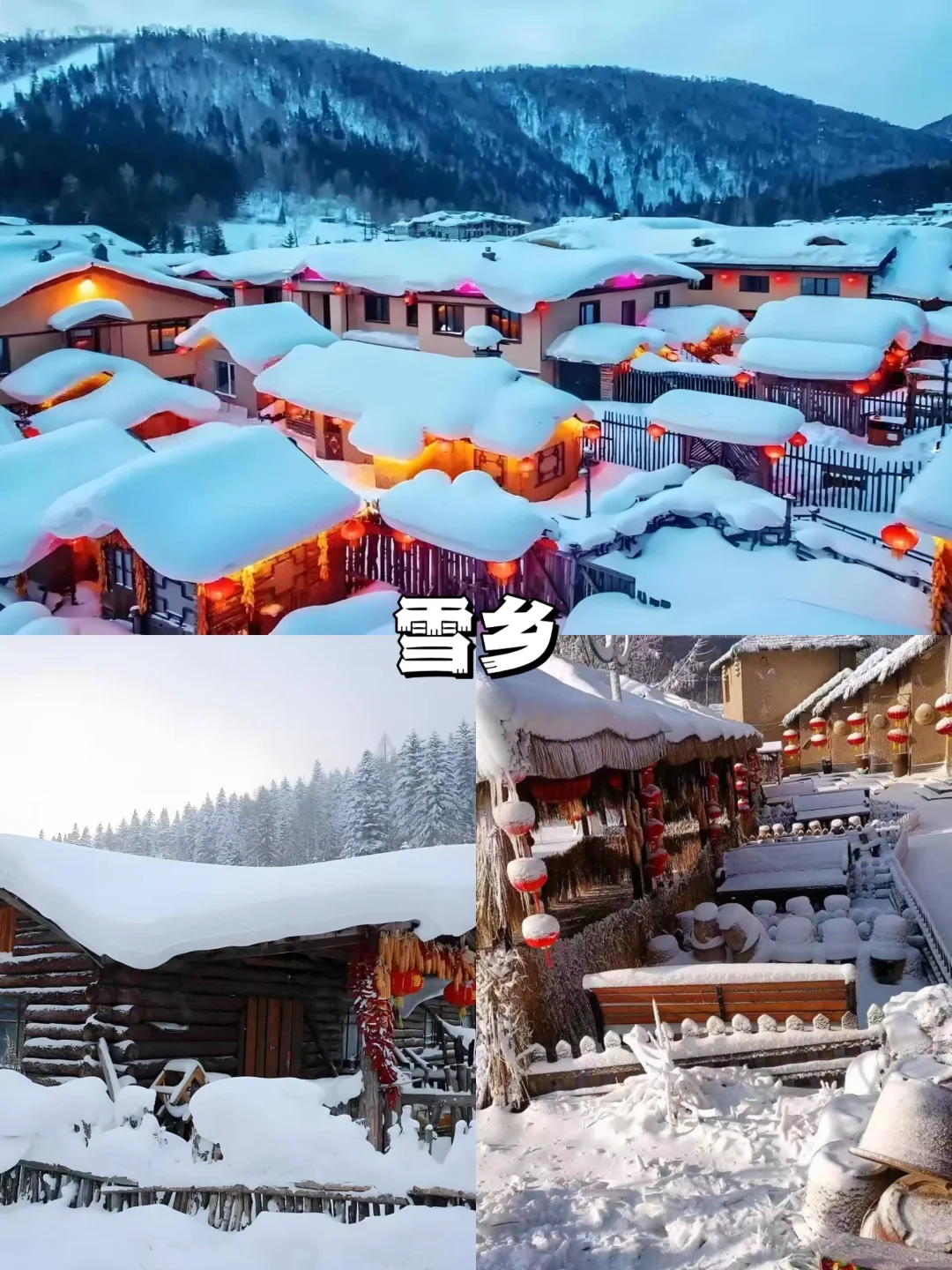 哈尔滨&雪乡❄️5日精品团！省钱又省心！！