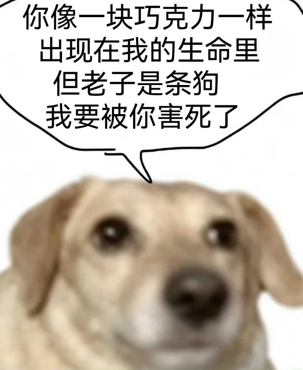 怎么这么多台风！！点开天气预报，接下来一周每天不是中雨就是大雨[柯基] ​​​