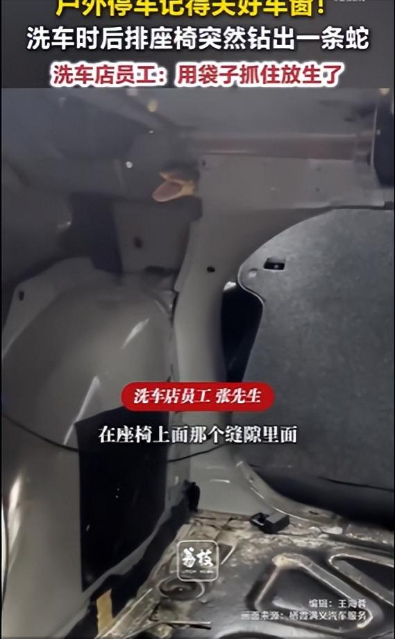 洗车时座椅缝隙钻出1条蛇 7月13日，江苏南京，拍摄者张先生称，客户来洗车时员工