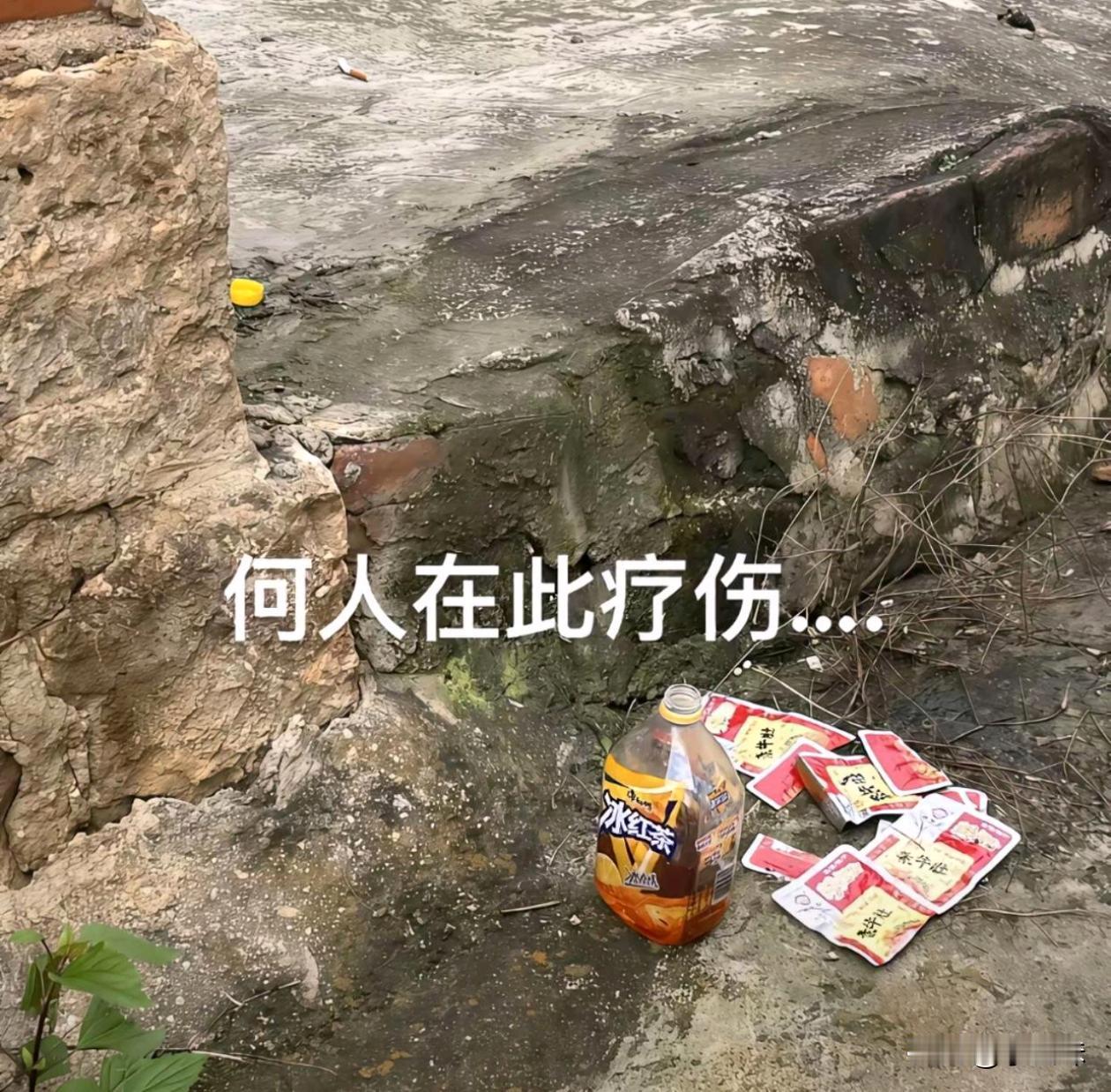 不知道这是哪位伤心的人在此疗伤