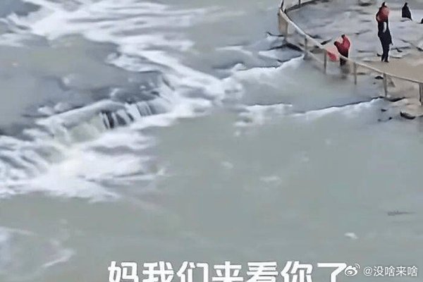 妈是大家滴妈.门票是真实的......搜狐新闻:【男子在壶口瀑布外拍视频被投诉，