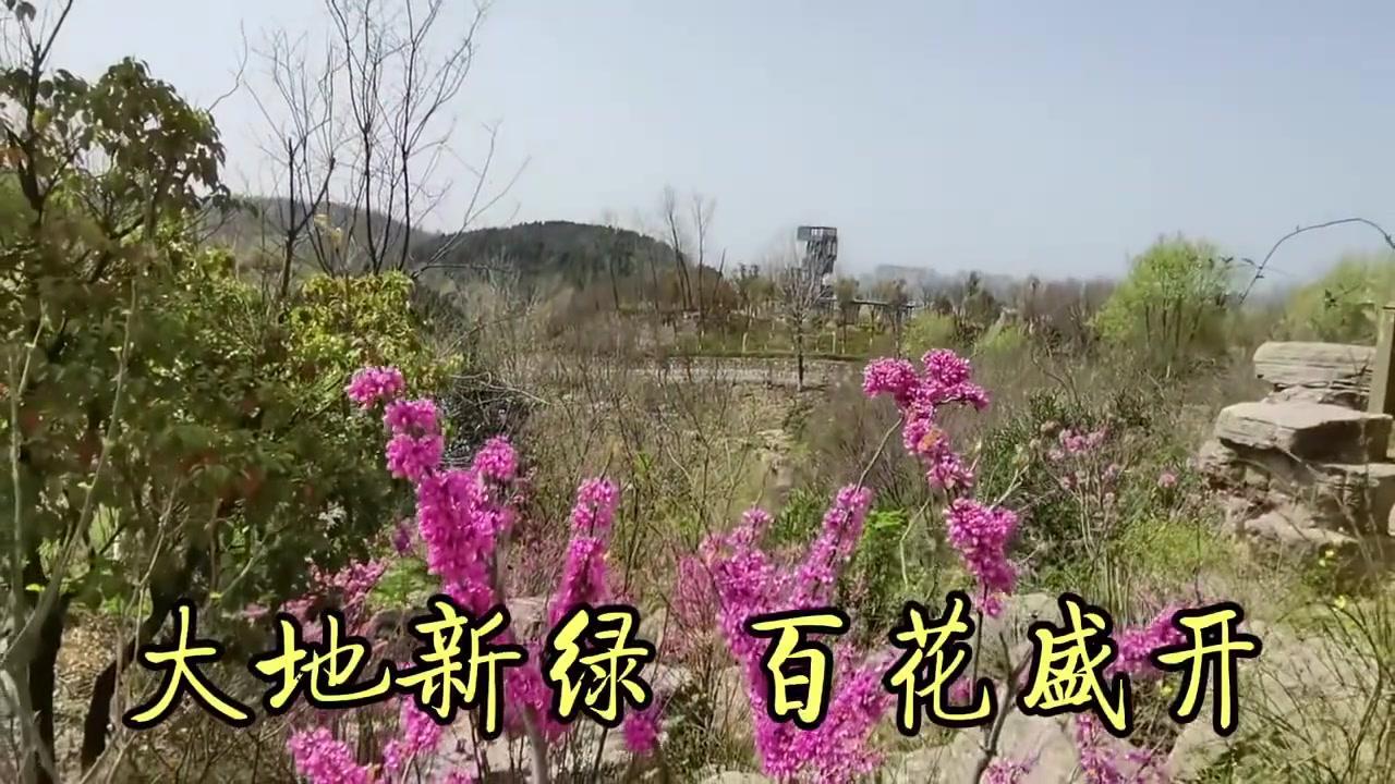 春天到了，自然少不了这些时令美味！形似铜钱的榆树花——榆钱，就是绝佳的春日美味啦