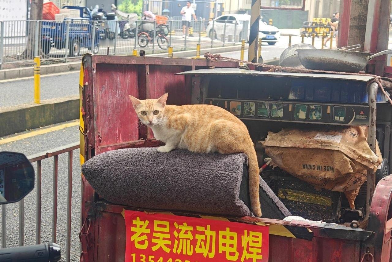 还真是老吴 ​​​