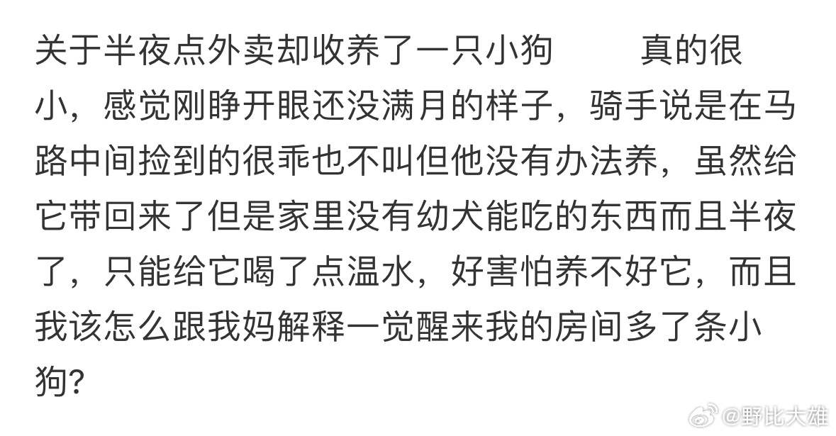关于半夜点外卖却收养了一只小狗[拜托] ​​​