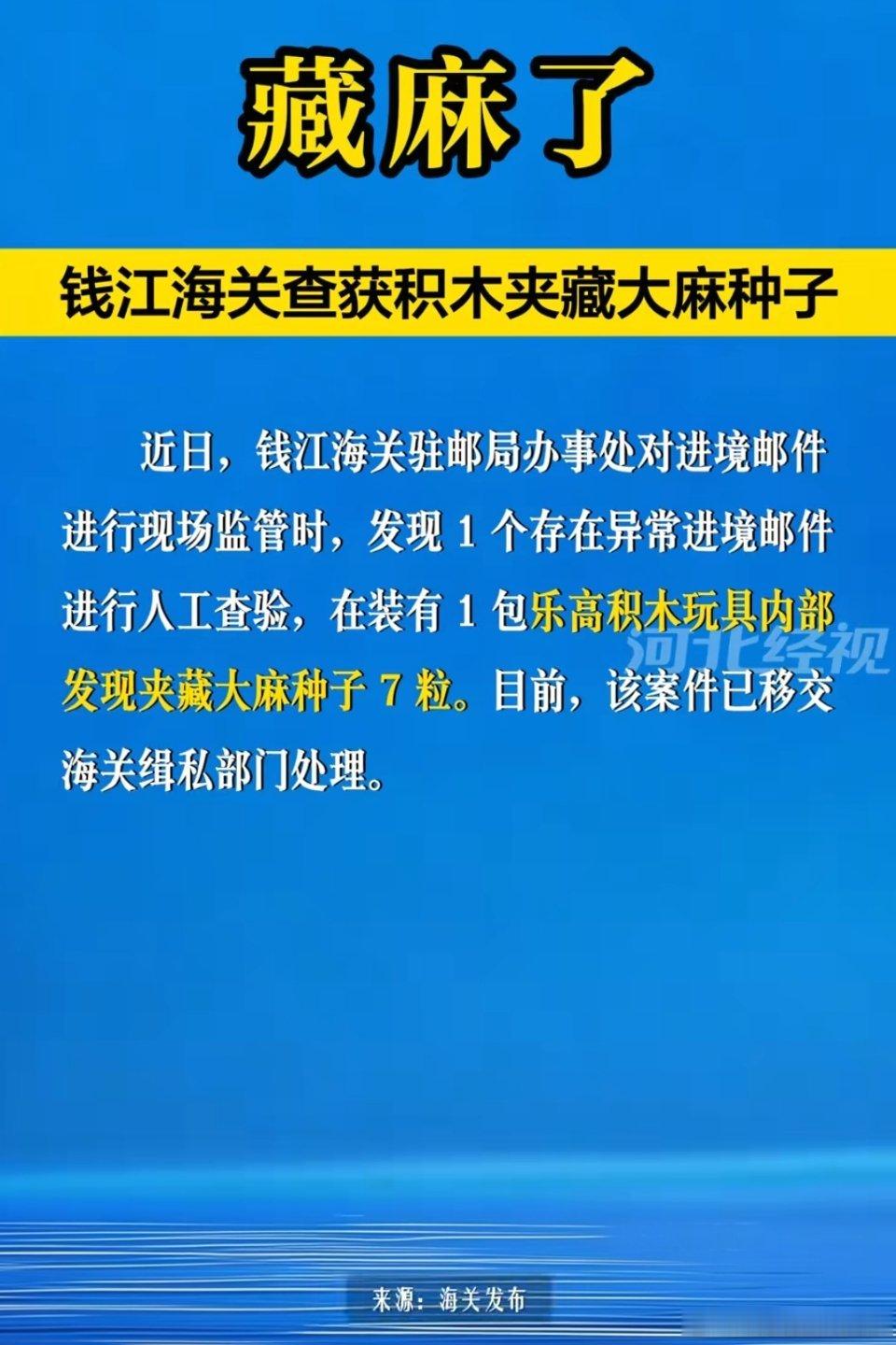 🔻海关查获积木夹藏大麻种子。热点现场