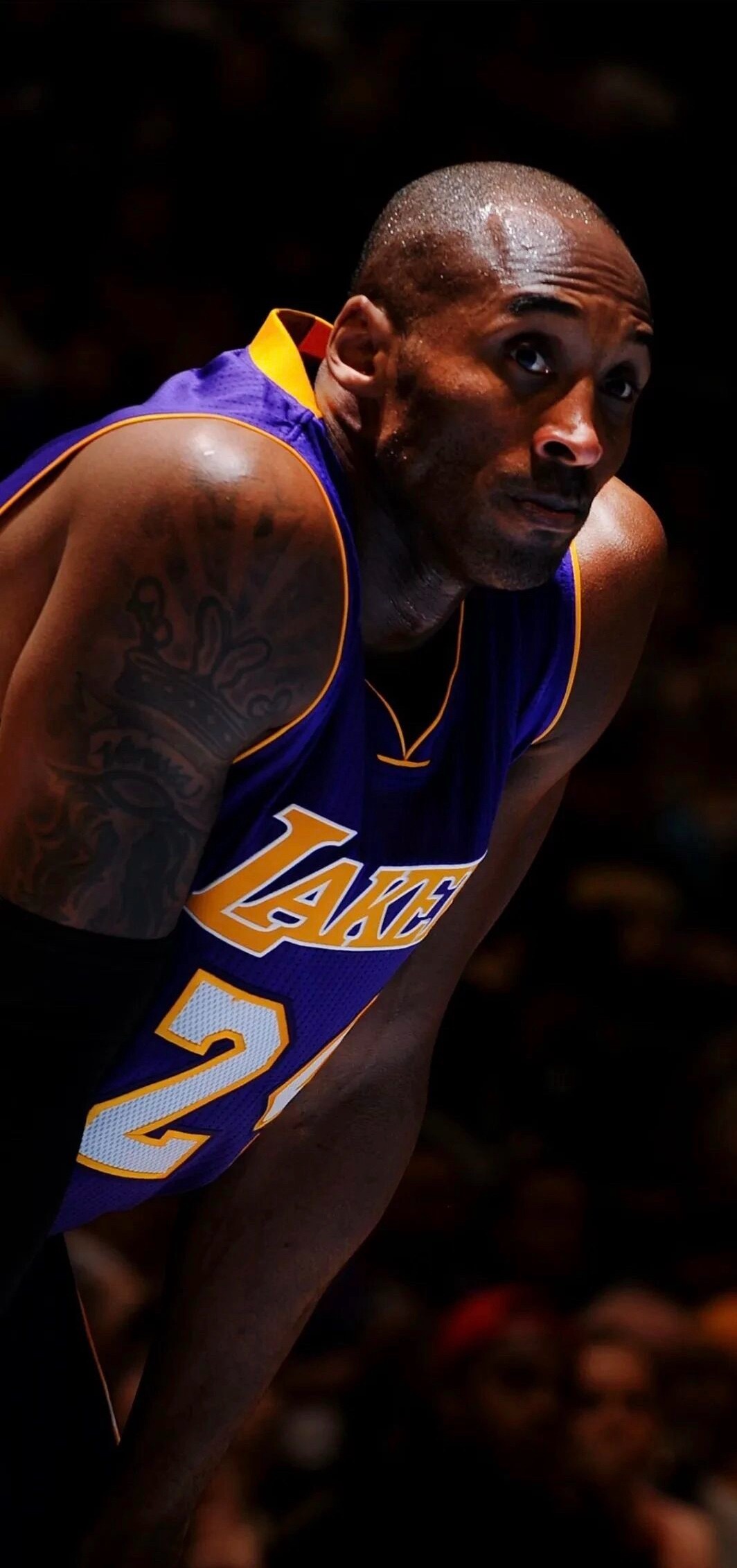 一起一落是人生；一喜一忧是心情；一苦一甜是生活；一朝一夕是日子；一忙一碌又一年，