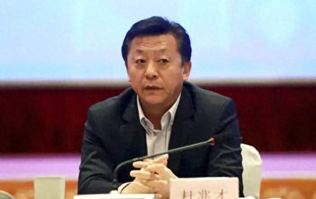 羽协副主席夏煊泽被调查，同日原副主席兼秘书长王伟被查