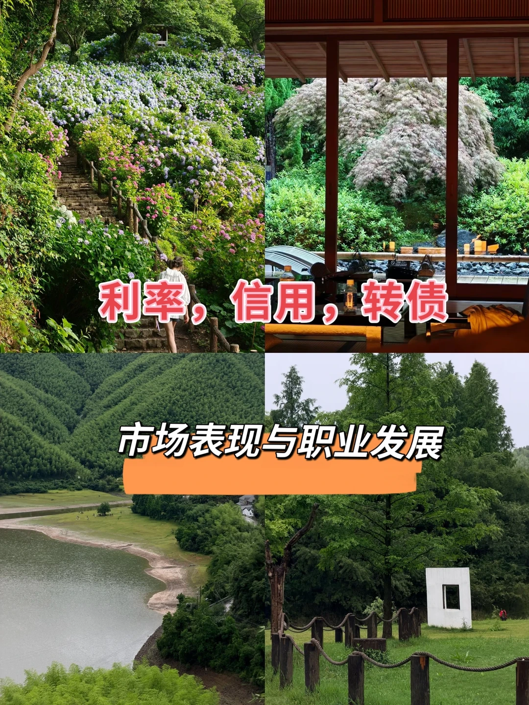 利率，信用，转债，市场表现与职业发展
