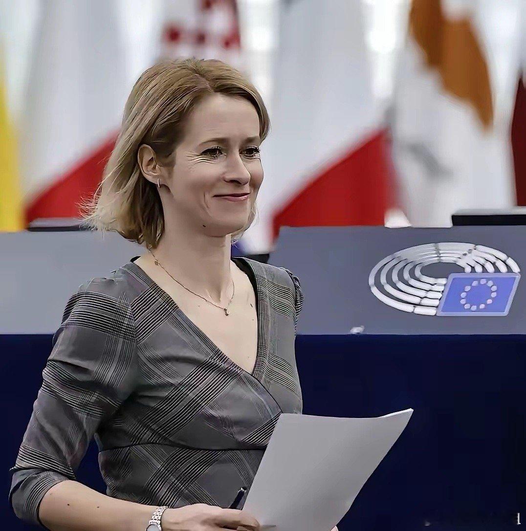 破天荒！欧盟承认中国二战功绩，日本彻底懵圈近日，欧盟外交与安全政策高级代表卡拉斯