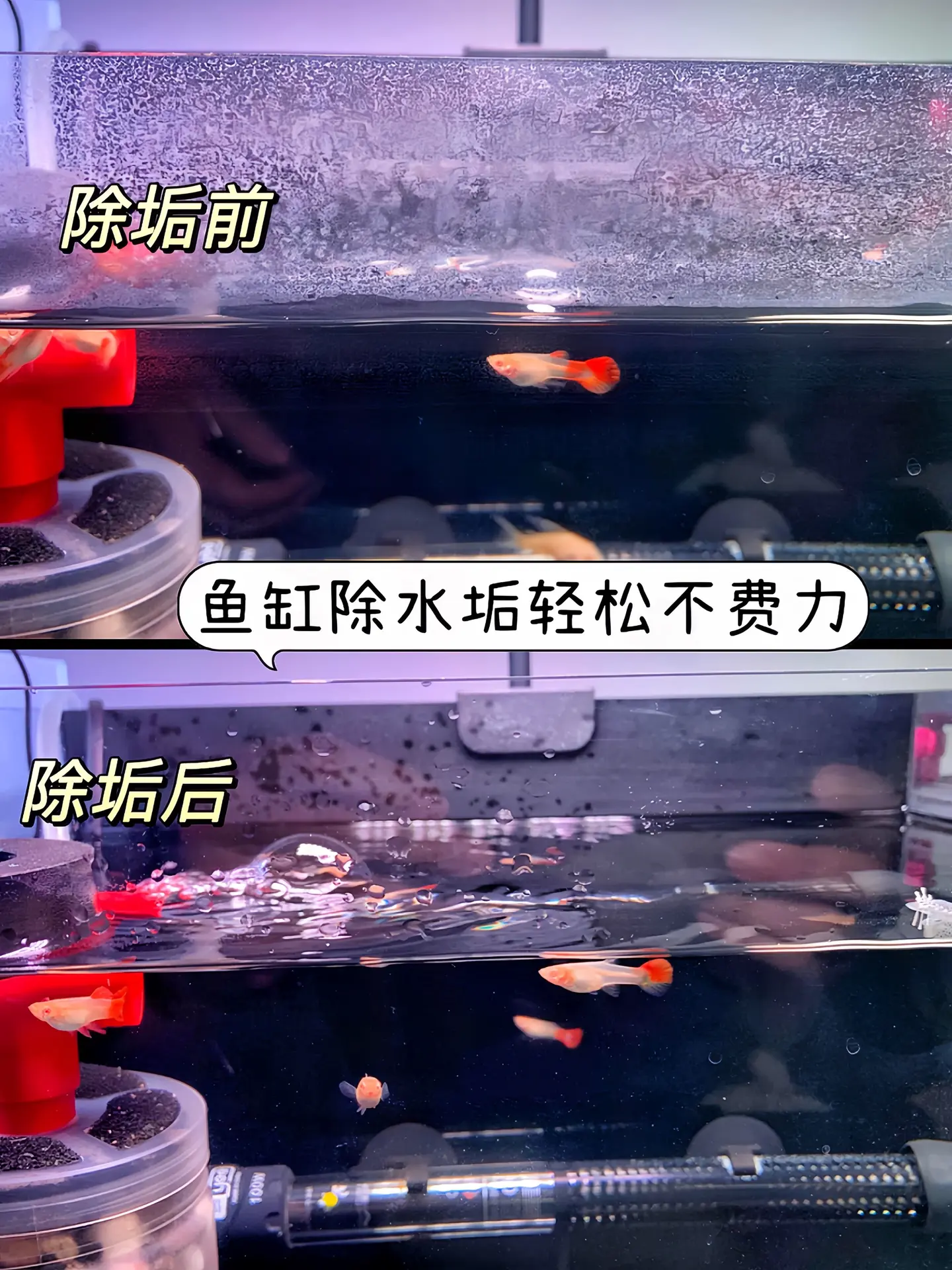 还在为鱼缸壁顽固水垢、藻类污渍抓狂？刮擦伤缸、化学药剂伤鱼？这款鱼缸出...